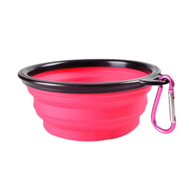 Colorful Pet Bowl